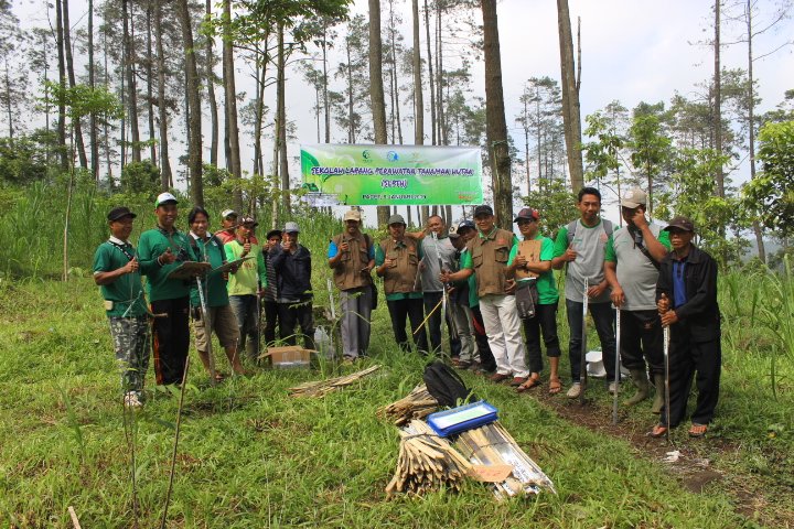 SEKOLAH LAPANG PERAWATAN TANAMAN HUTAN – NABUNG BANYU 2019