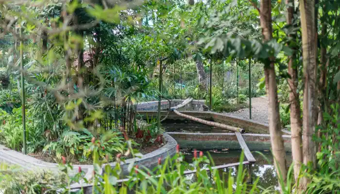Taman Kreatif